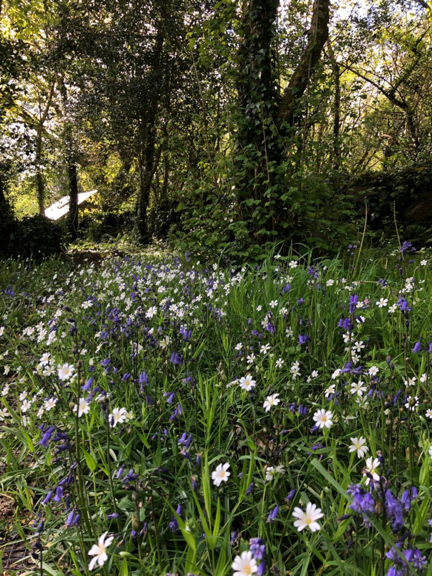 Sligo Forest Retreat Luaran gambar